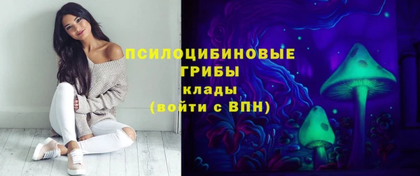 apvp Кулебаки