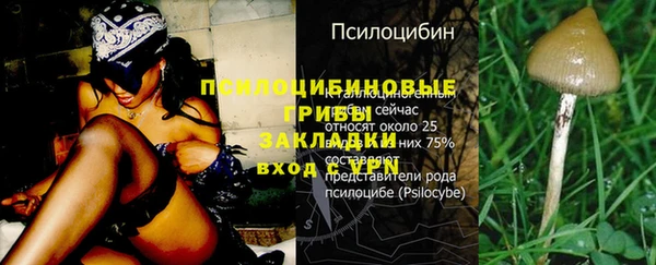 круглые Кукмор