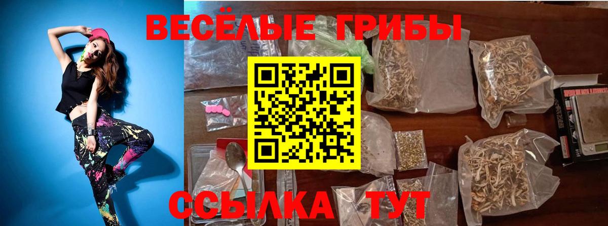 Надым  Псилоцибиновые грибы ЛСД  Псилоцибиновые грибы мицелий  Вход с VPN 
